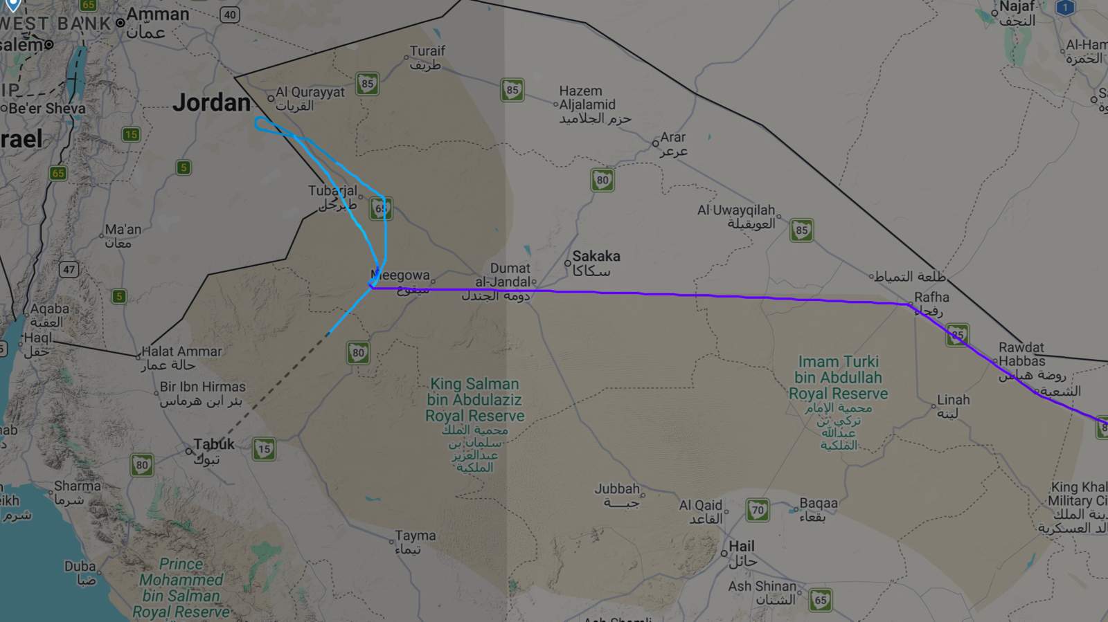 Полет рейса FZ1073 авиакомпании FlyDubai. Скриншот: Flightradar