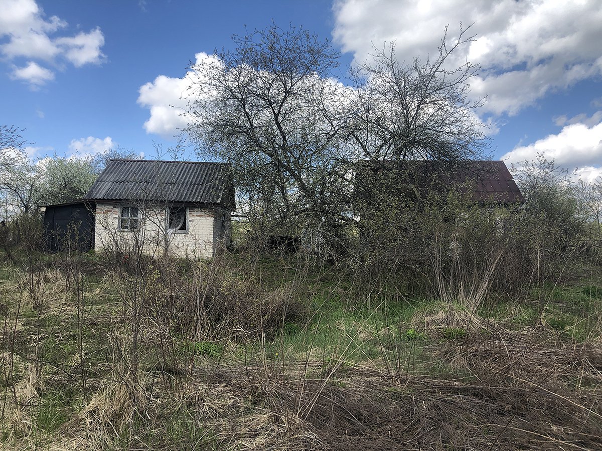 Дачи рядом с зоной отчуждения. Фото: Ирина Гарина