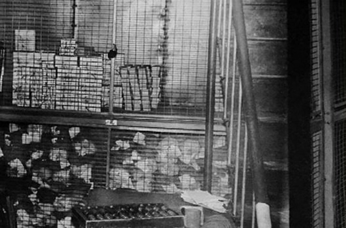 Комната в отделении банка. Фото: collab.am