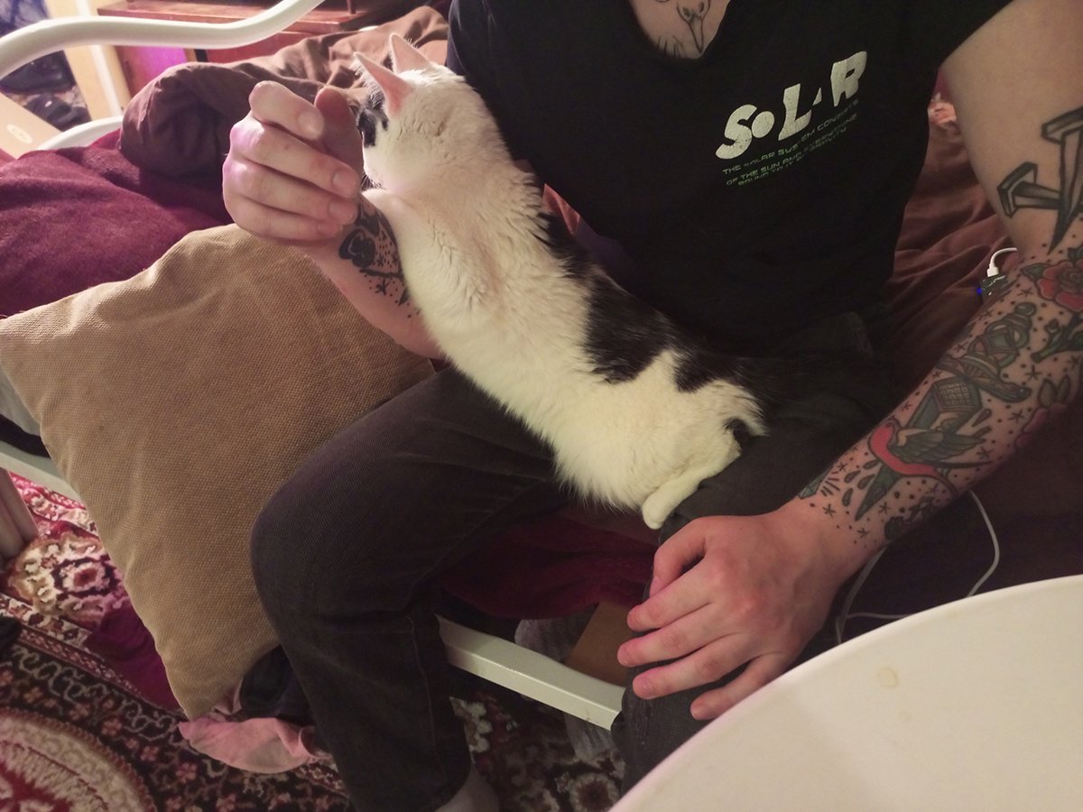 Алексей Рожков и кошка по имени Чипа. Фото: личная страница Рожкова «ВКонтакте»