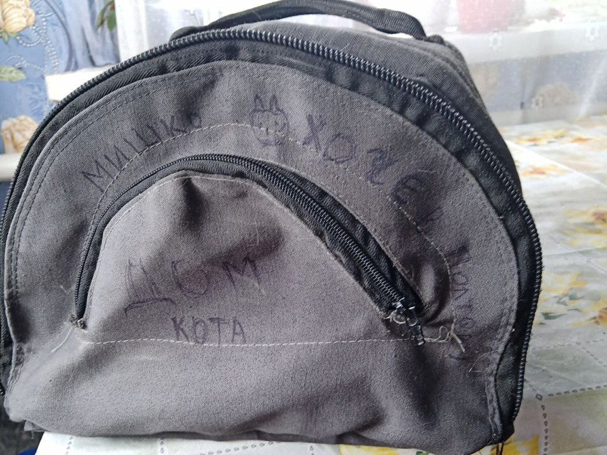 Сумка-переноска кота Мишко. Фото:  «Новости Донбасса»