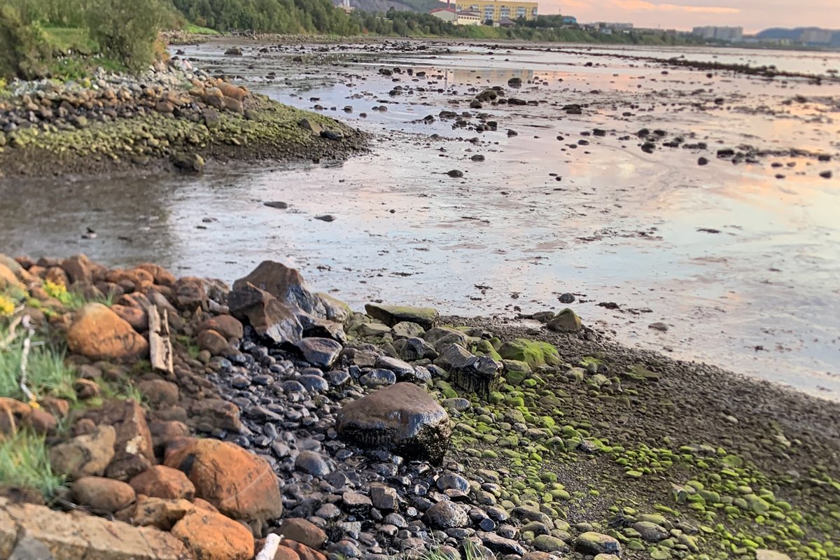 Фото: murmansk_dtp51 /  VK