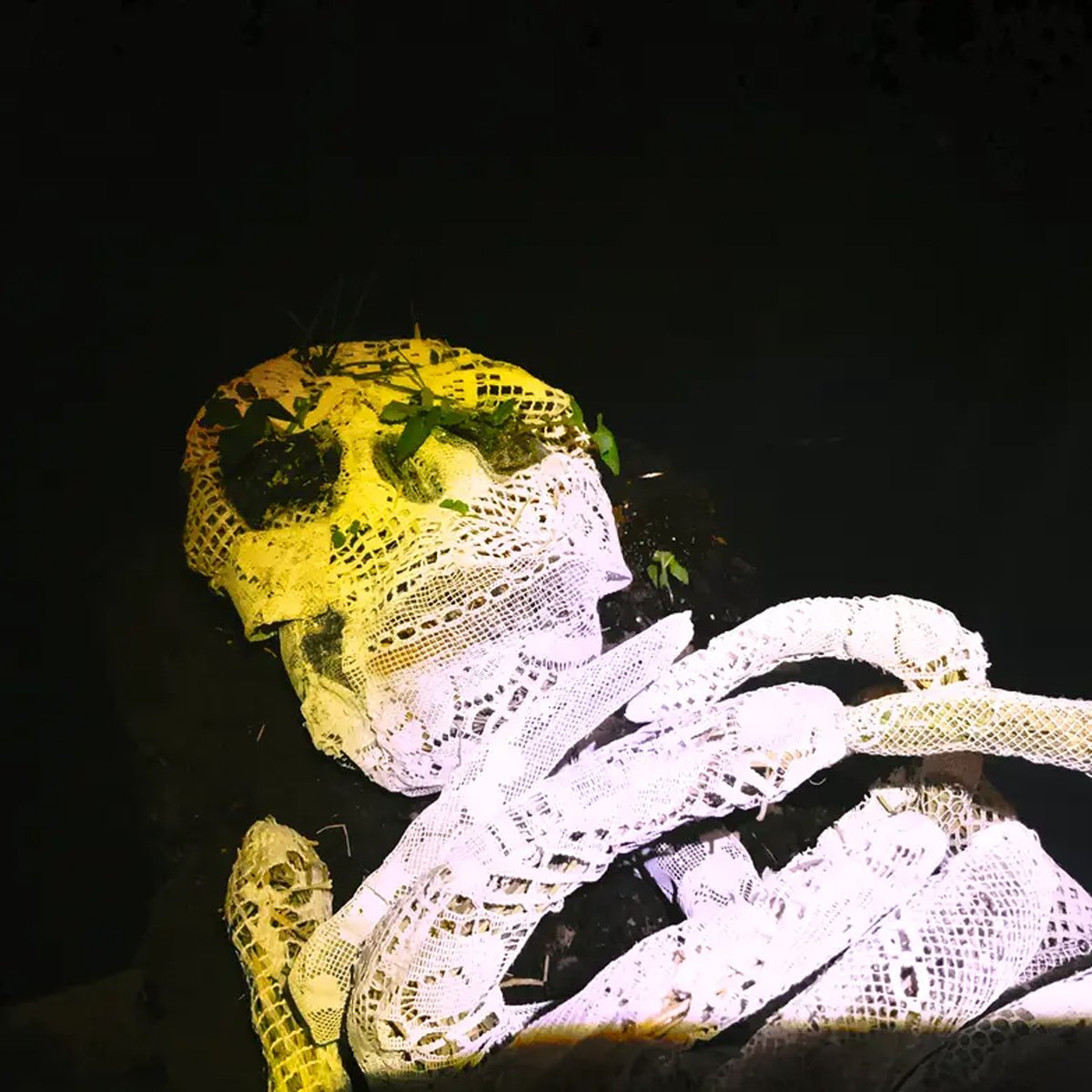 Фото:  gonserovskaya.com