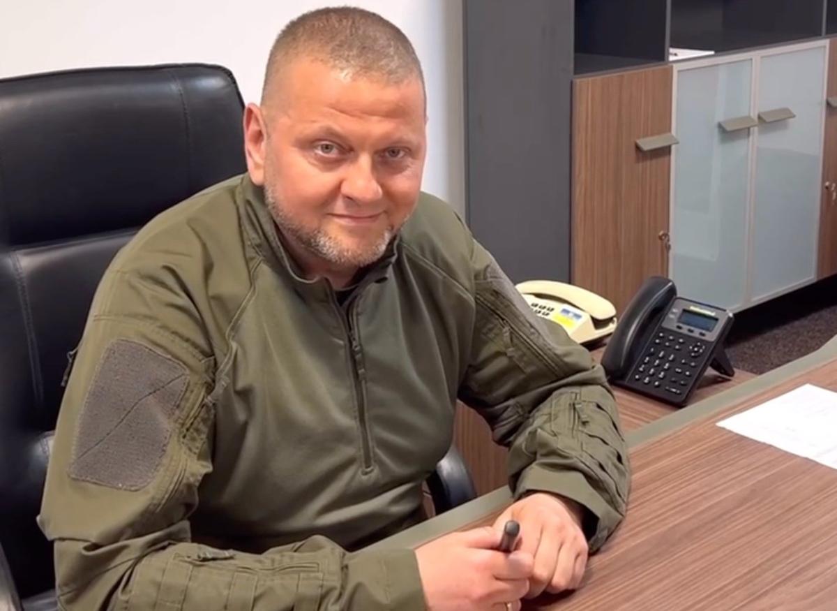 Валерий Залужный. Фото: скрин видео