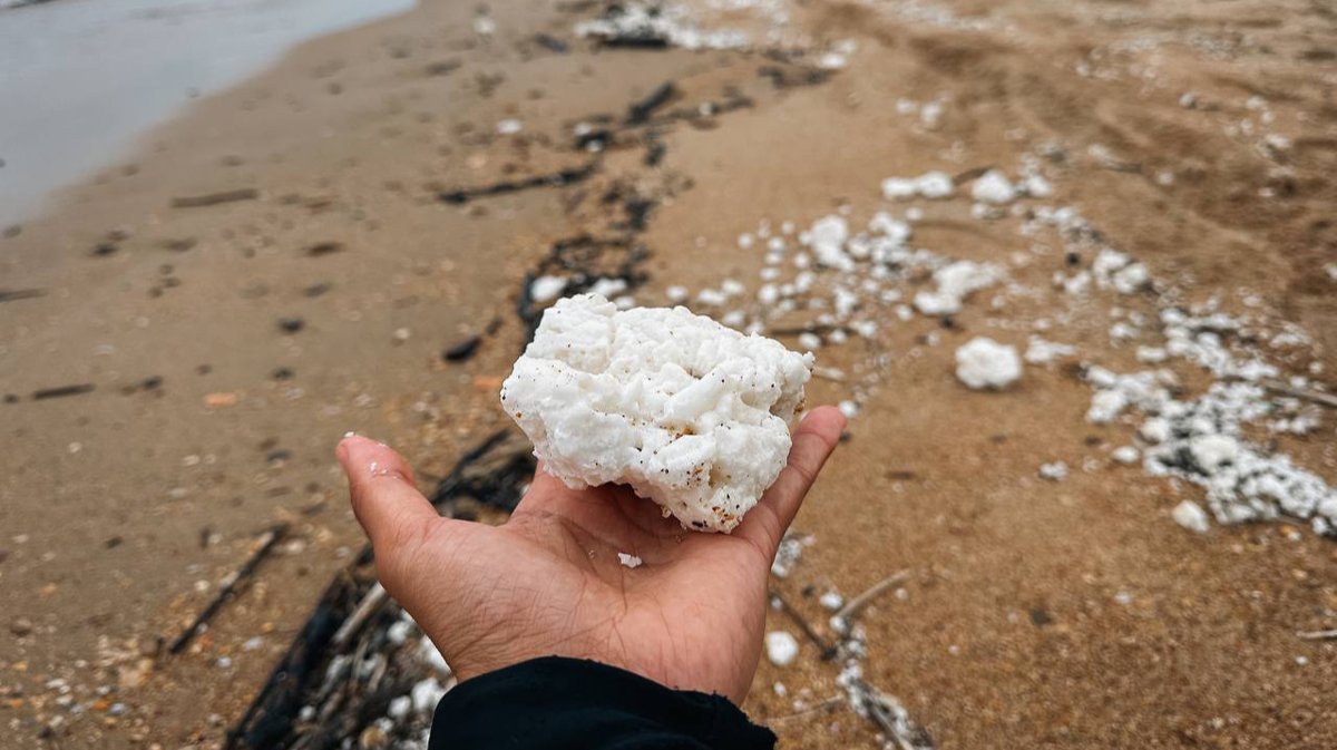 В Анапе новые экологические проблемы