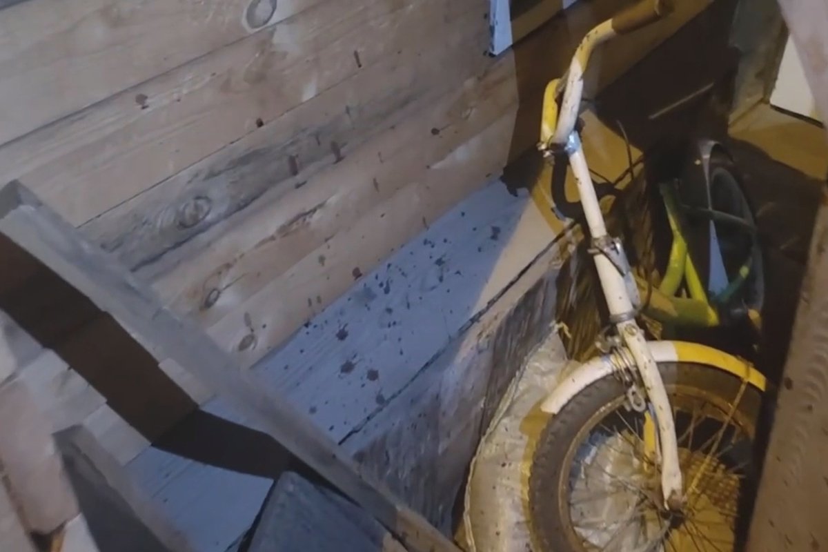 Фото: ГСУ СК России по Красноярскому краю и Республике Хакасия /  Telegram